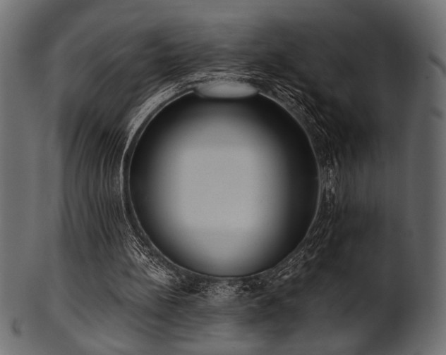 X0000101950148200807181458