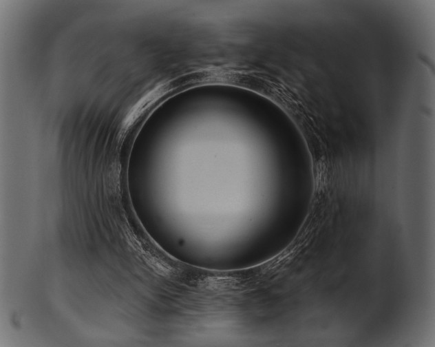 X0000101950150200807181458