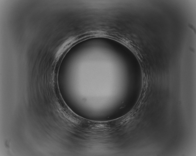 X0000101950151200807181458