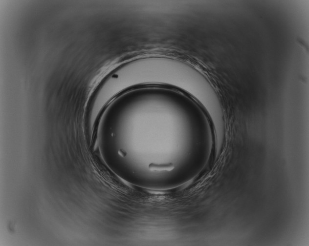 X0000101950152200807181458