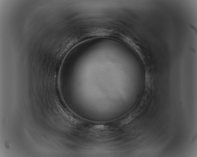 X0000101950153200807181458