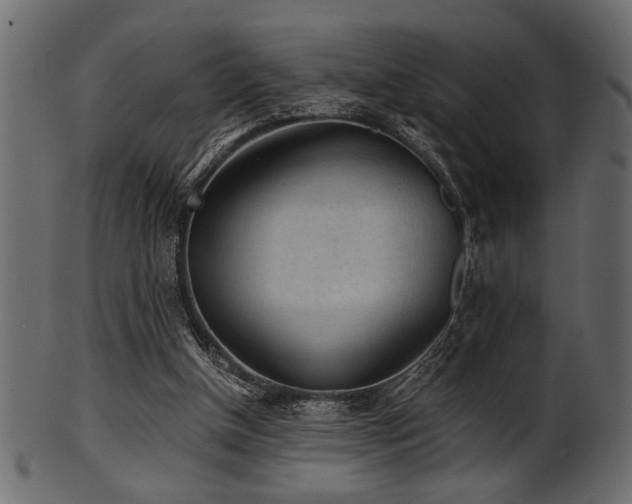 X0000101950154200807181458