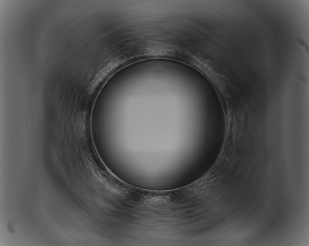 X0000101950155200807181458