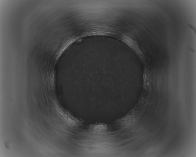 X0000101950156200807181458