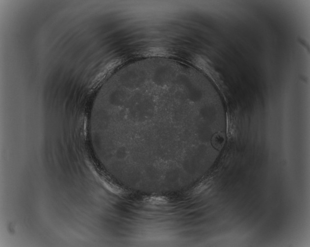 X0000101950157200807181458