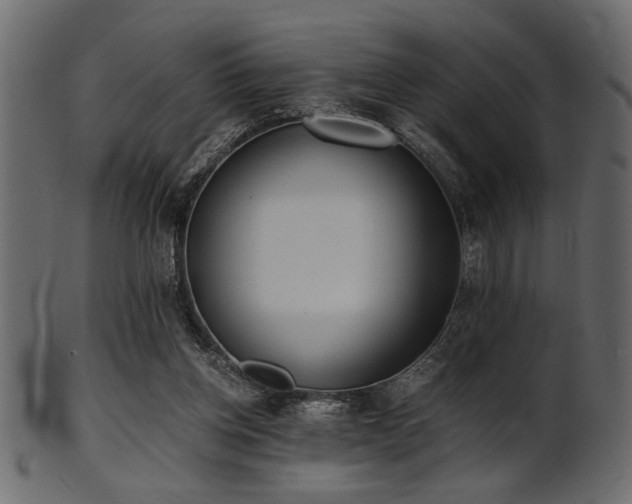 X0000101950158200807181458