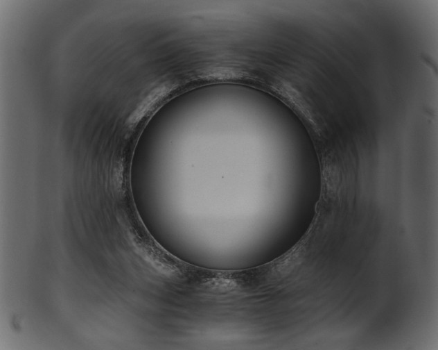 X0000101950159200807181458