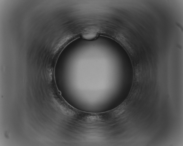 X0000101950160200807181458