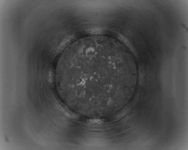 X0000101950161200807181458