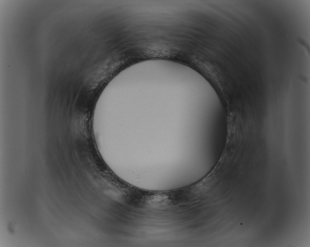 X0000101950162200807181458