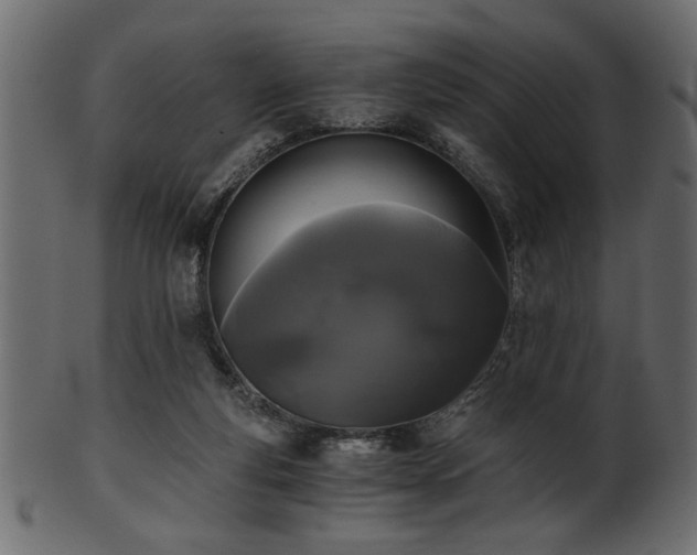 X0000101950163200807181458