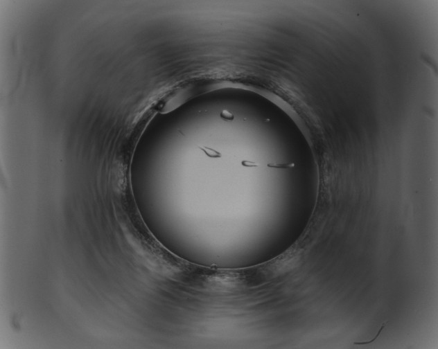 X0000101950164200807181458