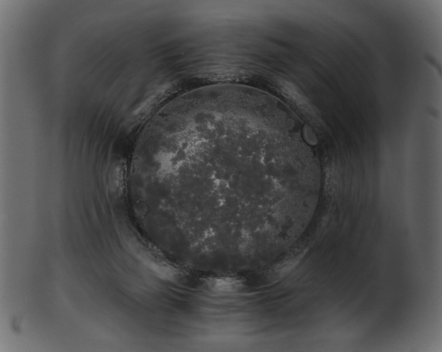 X0000101950165200807181458