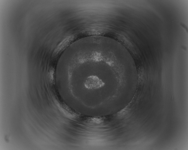 X0000101950166200807181458