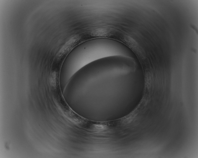 X0000101950167200807181458