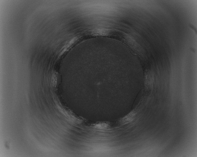 X0000101950168200807181458