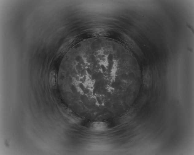 X0000101950169200807181458