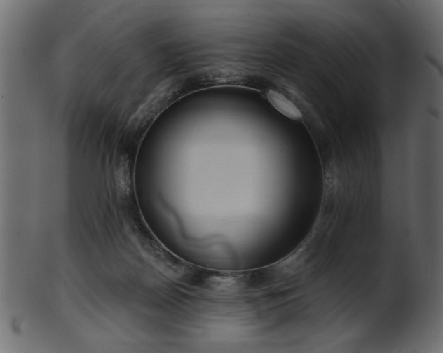 X0000101950170200807181458