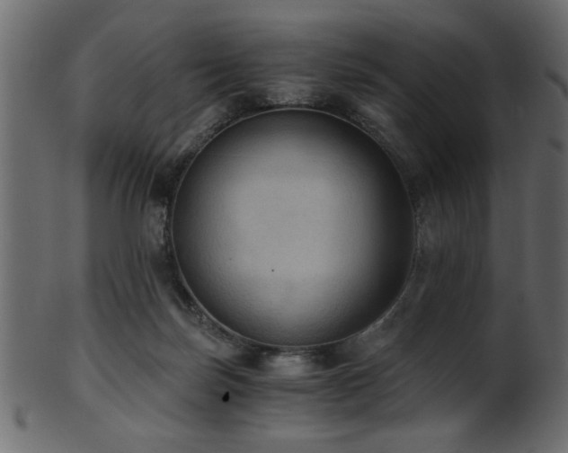 X0000101950171200807181458