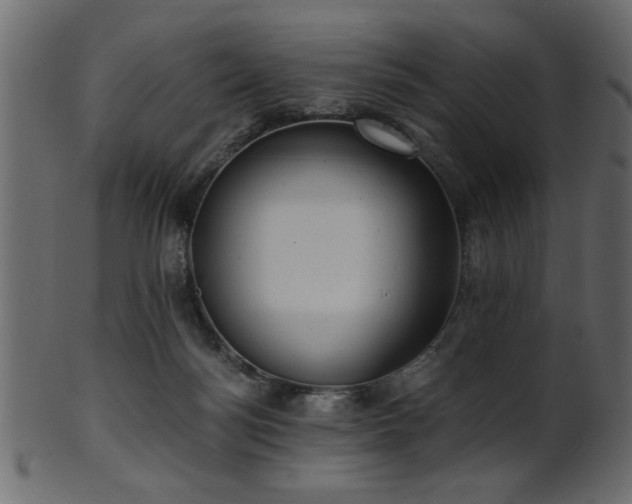 X0000101950172200807181458