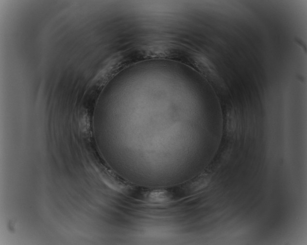 X0000101950173200807181458