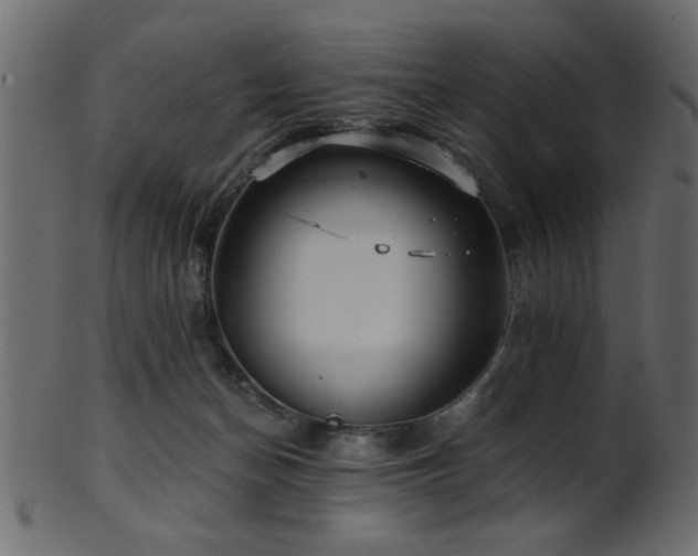 X0000101950174200807181458