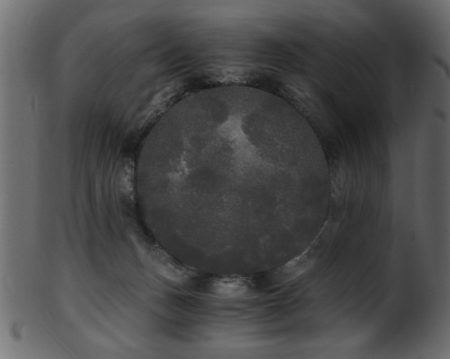 X0000101950175200807181458