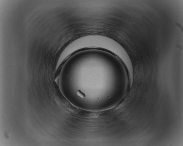 X0000101950176200807181458