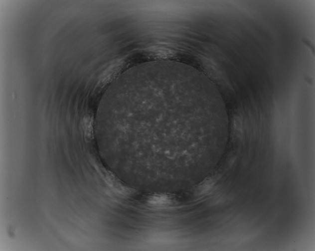 X0000101950177200807181458