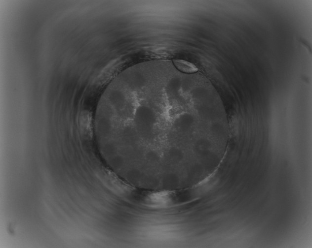 X0000101950178200807181458