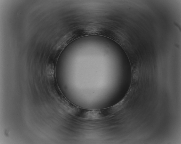 X0000101950179200807181458