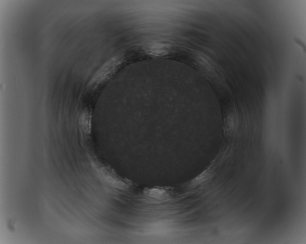 X0000101950180200807181458