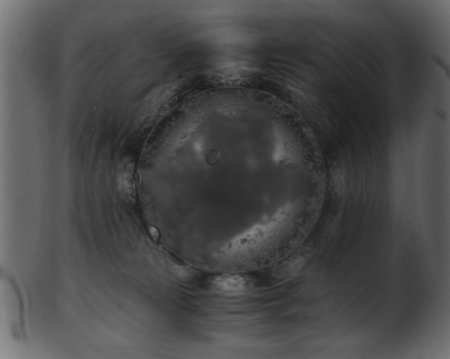 X0000101950181200807181458