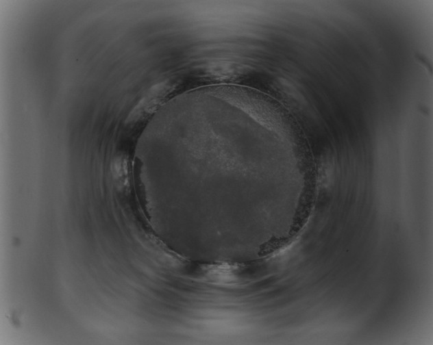 X0000101950182200807181458