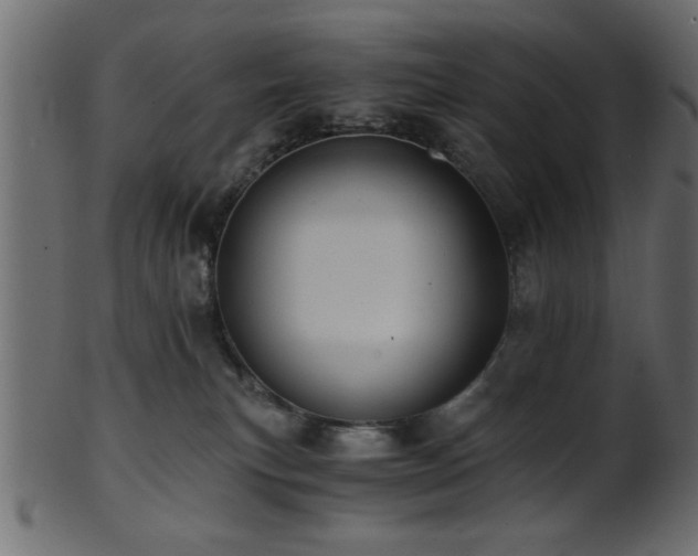 X0000101950183200807181458