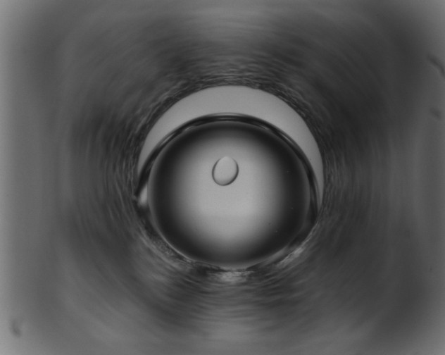 X0000101950184200807181458