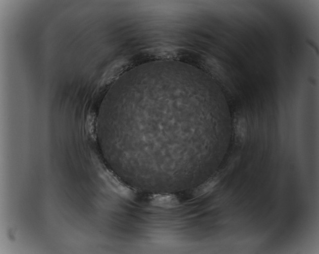 X0000101950185200807181458