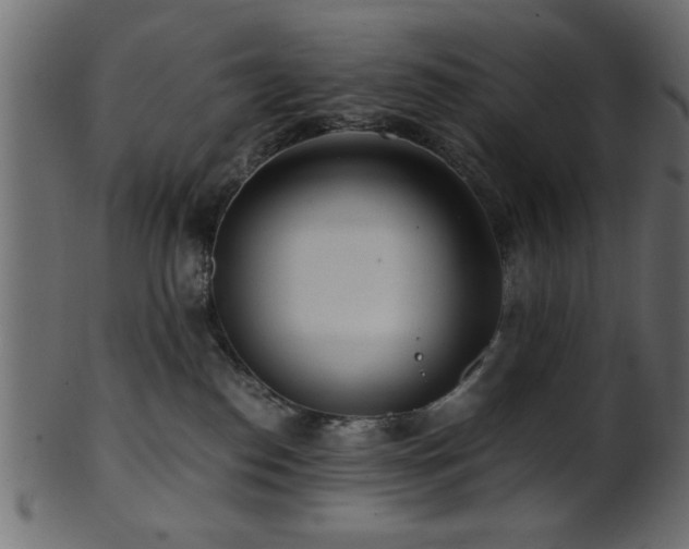 X0000101950186200807181458