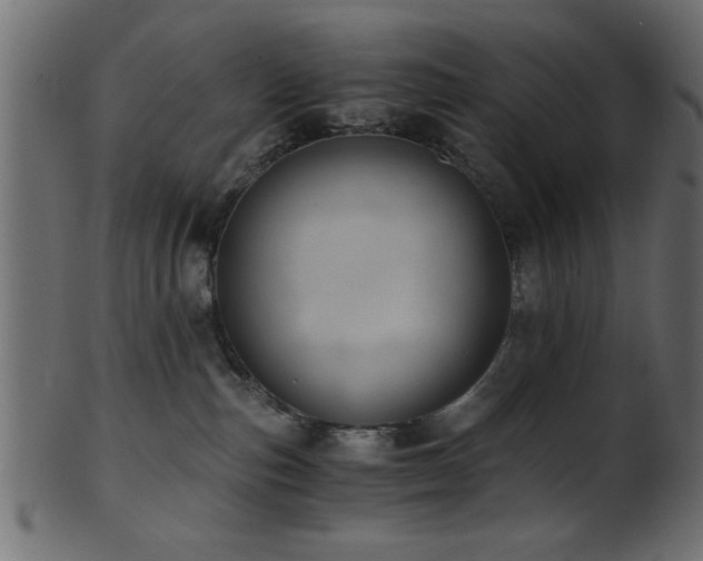 X0000101950187200807181458