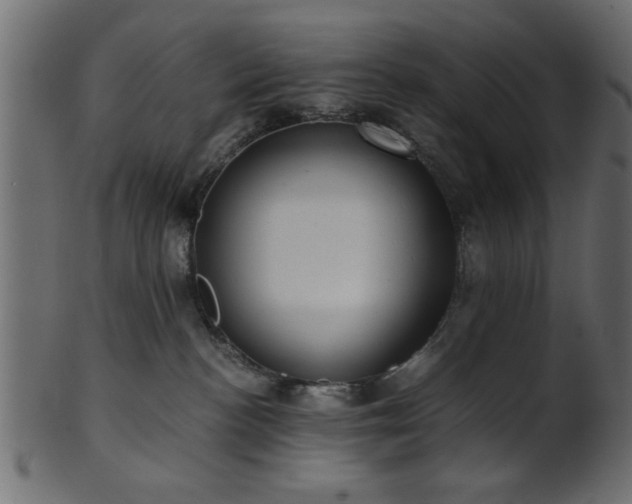 X0000101950188200807181458