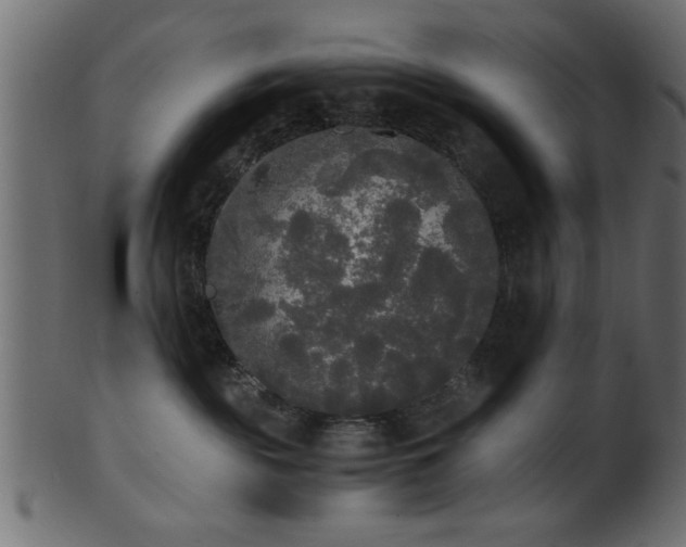 X0000101950189200807181458