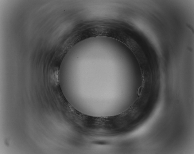 X0000101950190200807181458