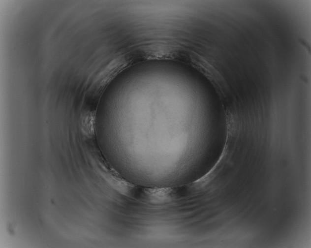 X0000101950191200807181458