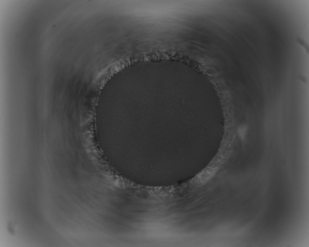 X0000101950192200807181458