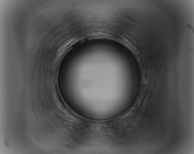 X0000101950193200807181458