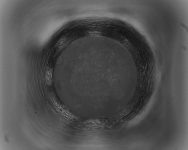 X0000101950194200807181458