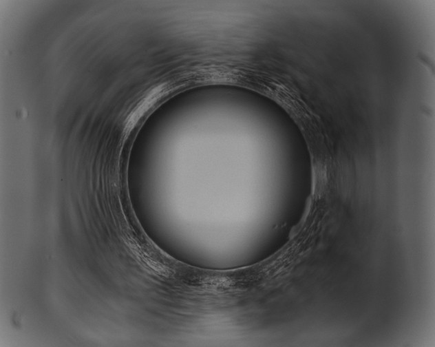 X0000101950195200807181458