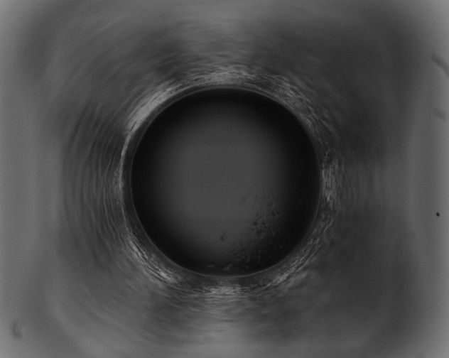 X0000101950196200807181458