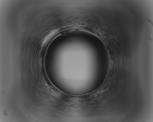 X0000101950197200807181458