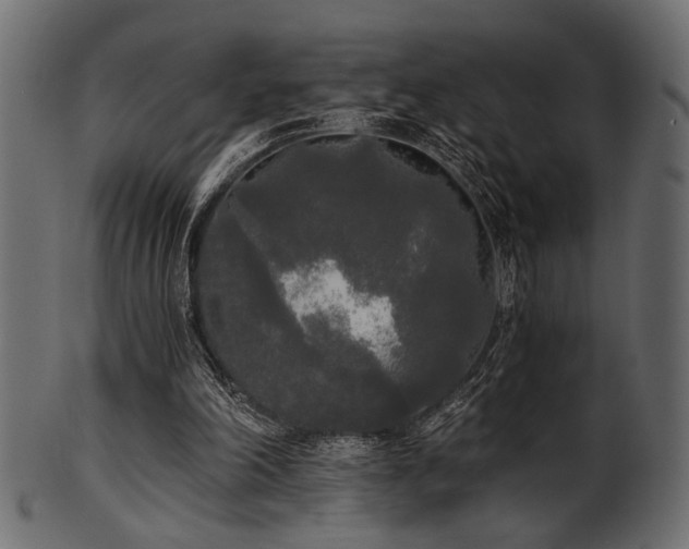 X0000101950198200807181458